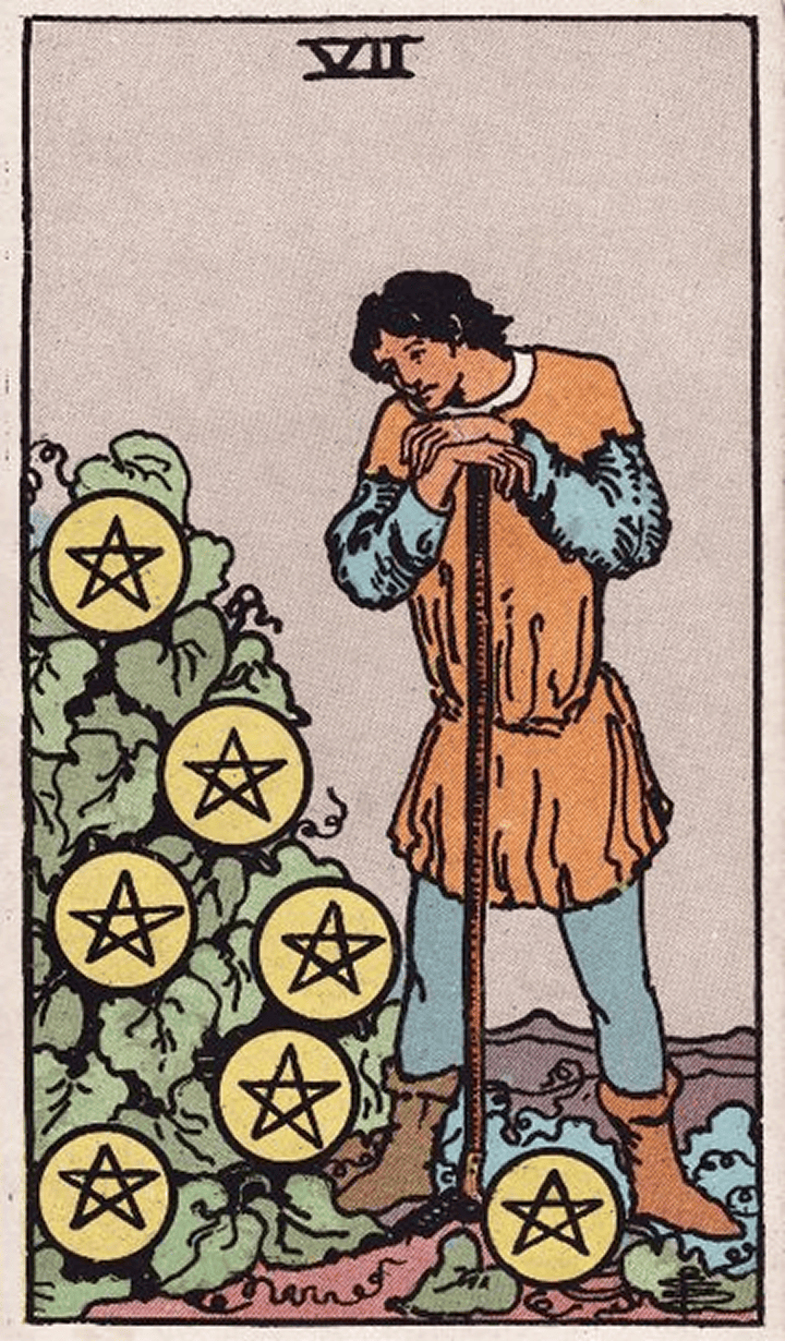 Seven of Pentacles